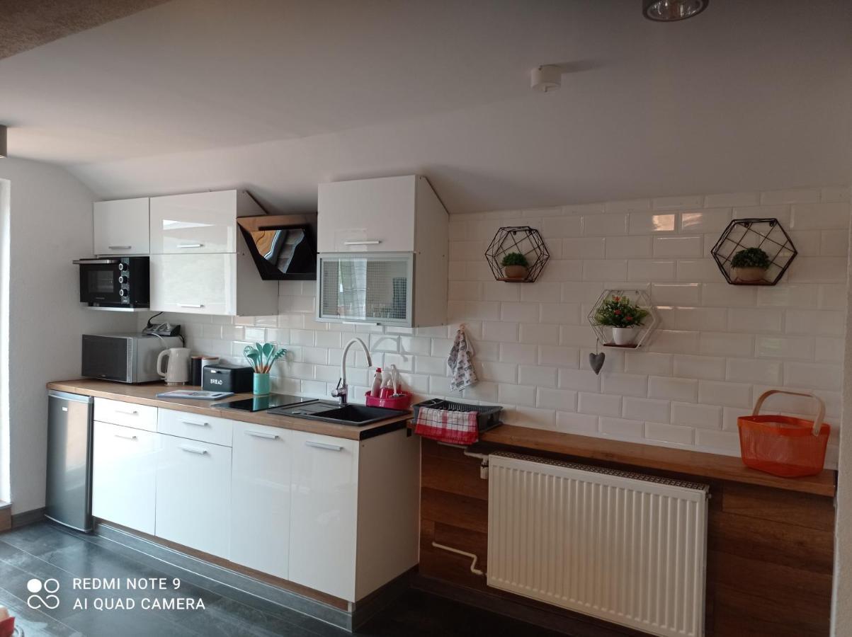 לודקוביצה קלודדזקה Apartamenty Sowianka מראה חיצוני תמונה